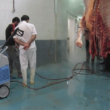 cleaning device slaughterhouse شستشوی و نظافت کشتارگاه ها با واترجت صنعتی