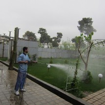 cleaning tree with high pressure washer شستشو و نظافت فضای سبز با دستگاه واترجت صنعتی