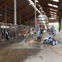 livestock pressure washer شستشوی دامداری با واترجت صنعتی